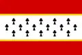 پرچم خوتیتوو