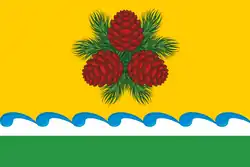 پرچم Choysky District