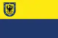 Flag of Concepcion
