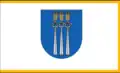 پرچم Druskininkai