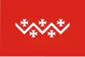 پرچم شهرداری دوشتی