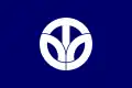 Stemma