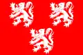 پرچم Gavere