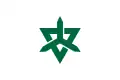 پرچم Higashimatsuyama