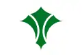 نشان رسمی Izumi