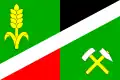 پرچم کرستیتسه