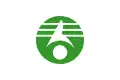پرچم Kasukabe