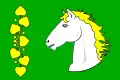 پرچم کوبیلی (ناحیه لیبرتس)