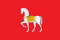 پرچم Konoshsky District