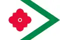پرچم لاندرد