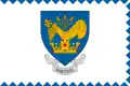 پرچم مارتونیی