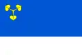 پرچم نزویستیتسه