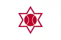 پرچم Otaru