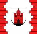 پرچم Panevėžys