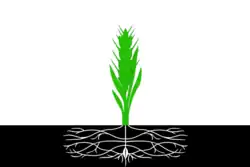 پرچم Pochinkovsky District