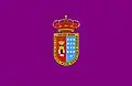 پرچم Roa de Duero