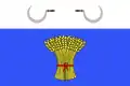 پرچم سنات