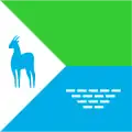 پرچم سارنی