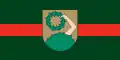 پرچم Talsi