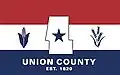 پرچم Union County