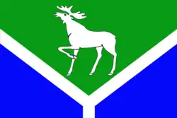 پرچم Ust-Ishimsky District