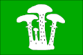 پرچم واتسلاوی