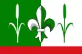 پرچم ویشوویتسه