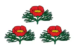 پرچم Veydelevsky District