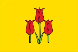 پرچم Volokonovsky District