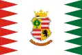 پرچم Zalaboldogfa
