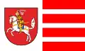 پرچم دیمارشن