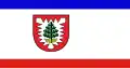 پرچم پینبرگ (ناحیه)