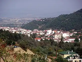 View of the city of Florina.