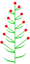 گل‌آذین برگی