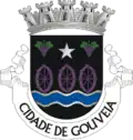 نشان Gouveia