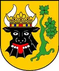 نشان گادبوش