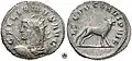 Antoninianus issued to celebrate LEG VII CLA VI P VI F, "Legio VII Claudia six times faithful and loyal."