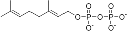 Skeletal formula