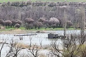 آبگرفتگی مناطق اطراف دریاچه با سرریز شدن سد قشلاق، سال ۱۳۹۸