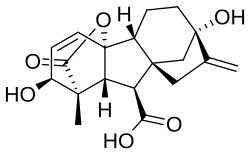 جیبرلیک اسید (GA3)