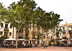 یک میدان در منطقه گراسیا