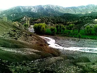 طبیعت زیروک