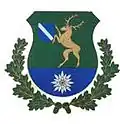 نشان کاسو