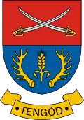 نشان تنگود