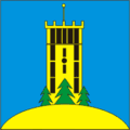 پرچم Haanja Parish