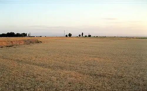مزارع جو و گندم روستای حاجی‌آباد