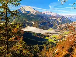 جنگل معتدل کوهستانی در باواریا، آلمان