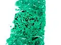 Histoplasma در granuloma. GMS لکه.