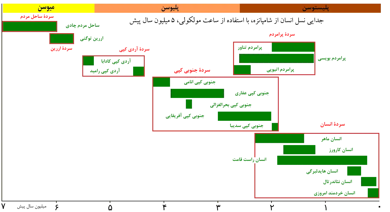 جدایی نسل انسان از شامپانزه