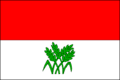 پرچم هوموله (ناحیه چسکه بودیوویتسه)